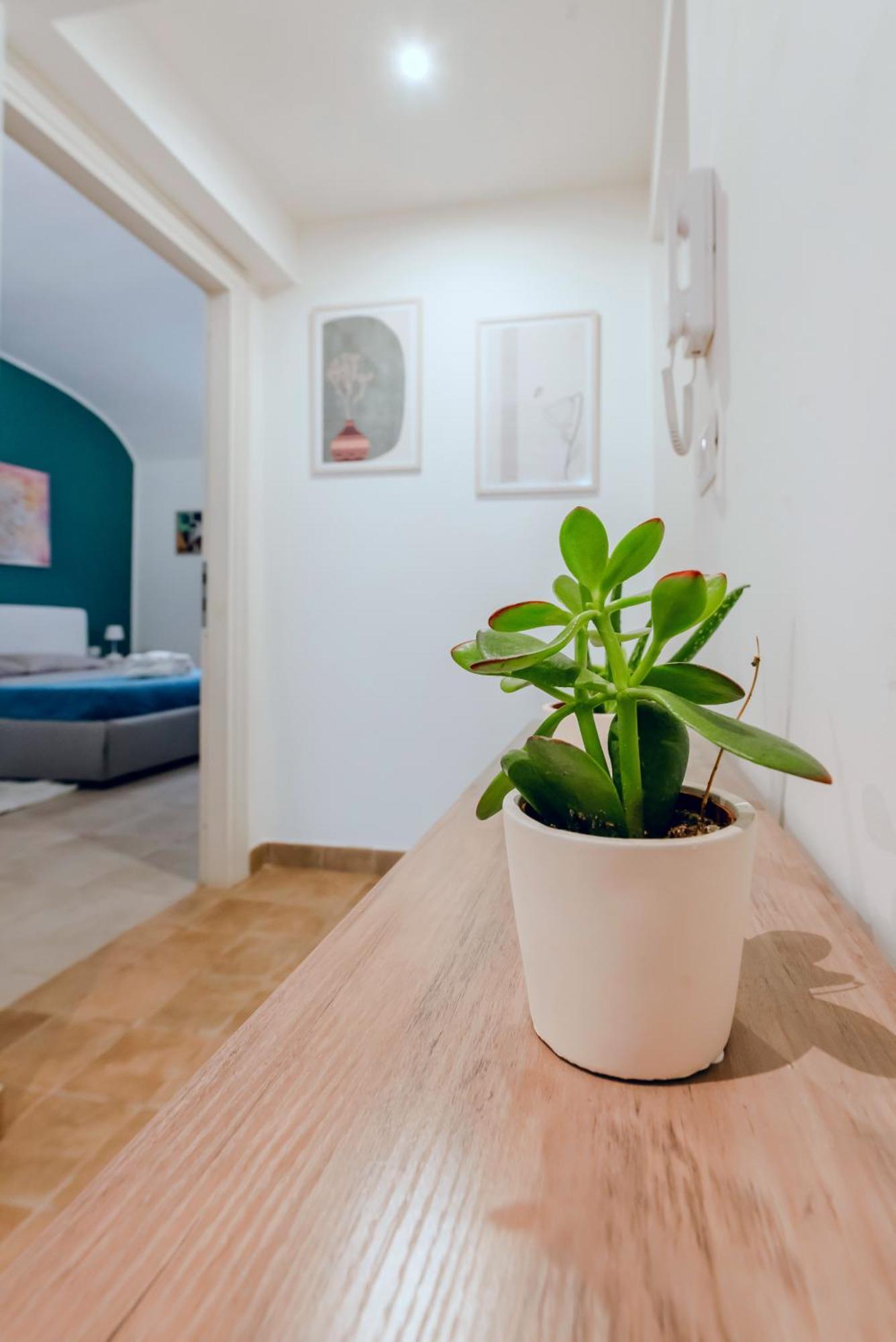 Helios Suites Testaccio - Center Of Rom Eksteriør billede